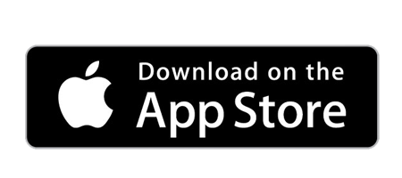 Google Play Store Icon